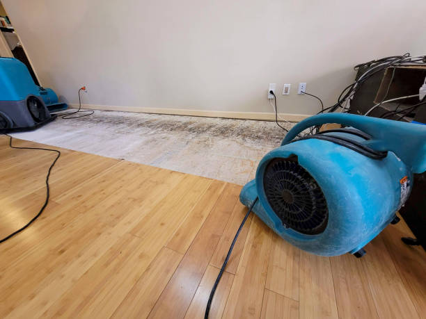 Reliable Basement Flood Cleanup contractor in Old Lyme, CT by Hirex Water Damage