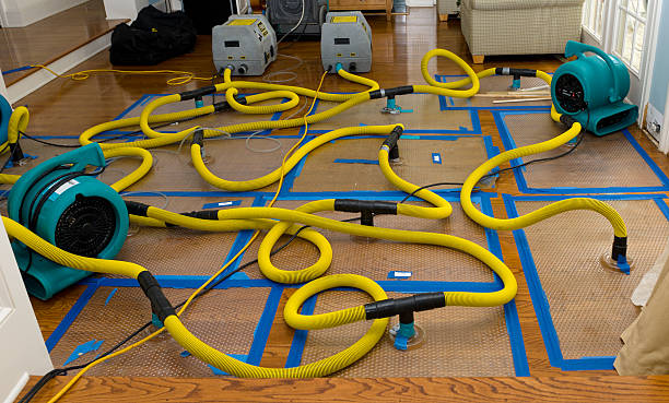 Professional Basement Flood Cleanup technician working in Old Lyme, CT